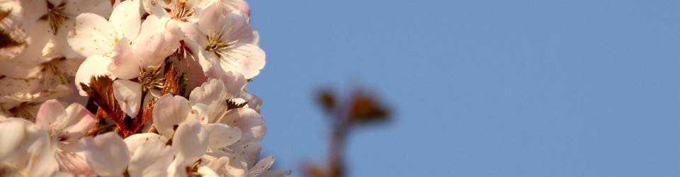 Ferienhaus Augustfehn