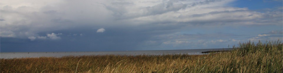 Ferienhaus Augustfehn